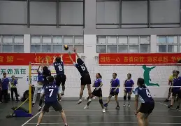 热血沸腾，全队齐心协力夺冠的简单介绍