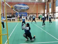 热血沸腾，全队齐心协力夺冠的简单介绍