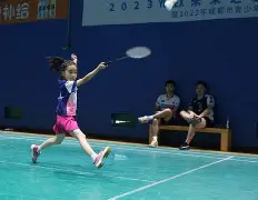 西班牙篮协揭开腐败内幕俱乐部受打击