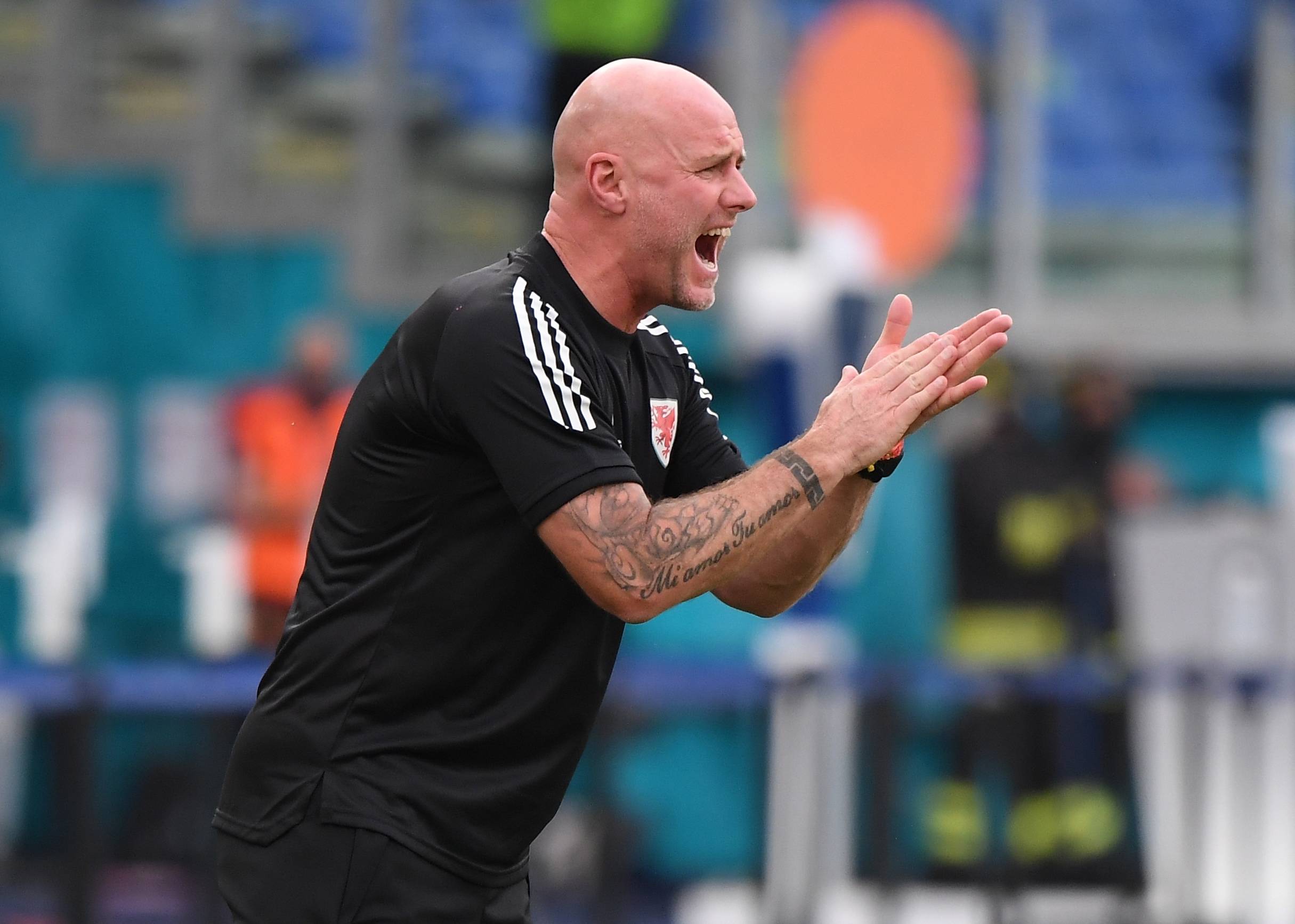 意大利1-0威尔士:贝洛蒂绝杀意甲蓄势待发的简单介绍 意大利1-0威尔士:贝洛蒂绝杀意甲蓄势待发的简单介绍