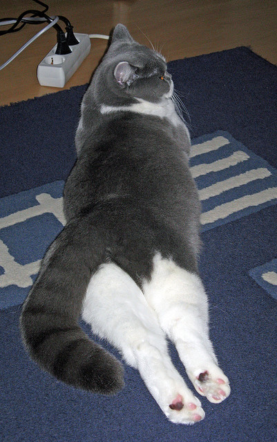 欧冠半决赛之夜，布伦森硬仗之王